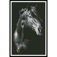 Artecy Cross Stitch Private Dreamer Stallion 11729 MS Cross Stitch Chart Hard Copy