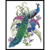 Artecy Cross Stitch Proud as a Peacock  11060 PFLD Cross Stitch Chart Hard Copy