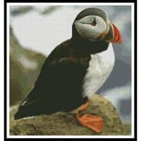 Artecy Cross Stitch Puffin 3 12577 Cross Stitch Chart Hard Copy