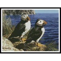 Artecy Cross Stitch Puffin Couple 14101 CBR Cross Stitch Chart Hard Copy