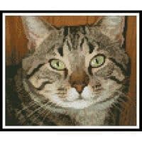 Artecy Cross Stitch Purr Mini 12796 Cross Stitch Chart Hard Copy