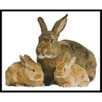Artecy Cross Stitch Rabbits 10201 Cross Stitch Chart Hard Copy