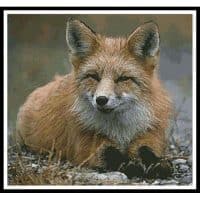 Artecy Cross Stitch Red Fox Photo 10759 Cross Stitch Chart Hard Copy
