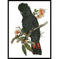 Artecy Cross Stitch Red Tailed Cockatoo 10554 Cross Stitch Chart Hard Copy