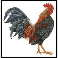 Artecy Cross Stitch Rooster 4 12125 ML Cross Stitch Chart Hard Copy