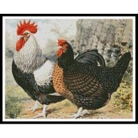 Artecy Cross Stitch Rooster and Chicken 10632 Cross Stitch Chart Hard Copy