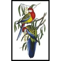 Artecy Cross Stitch Rosehill Parakeets 11953 Cross Stitch Chart Hard Copy