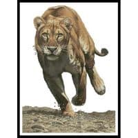 Artecy Cross Stitch Shaya No Background 13983 FC Cross Stitch Chart Hard Copy