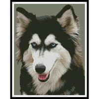 Artecy Cross Stitch Siberian Husky 10281 Cross Stitch Chart Hard Copy
