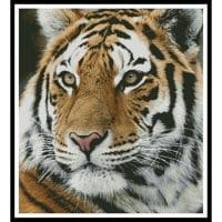 Artecy Cross Stitch Siberian Tiger 10489 Cross Stitch Chart Hard Copy