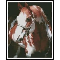 Artecy Cross Stitch Sierra Supreme 11641 MS Cross Stitch Chart Hard Copy