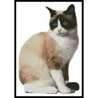 Artecy Cross Stitch Snowshoe Cat 2 13828 Cross Stitch Chart Hard Copy