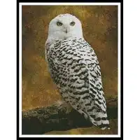 Artecy Cross Stitch Snowy Owl 11639 Cross Stitch Chart Hard Copy