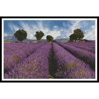 Artecy Cross Stitch Spring Landscape 10339 Cross Stitch Chart Hard Copy