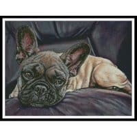 Artecy Cross Stitch Stella 12637 LAW Cross Stitch Chart Hard Copy