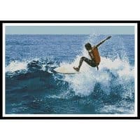 Artecy Cross Stitch Surfer 10575 Cross Stitch Chart Hard Copy