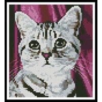 Artecy Cross Stitch Tabby Face Mini 11874 Cross Stitch Chart Hard Copy
