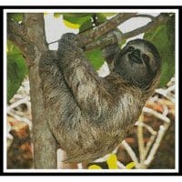 Artecy Cross Stitch Three Toed Sloth 11920 Cross Stitch Chart Hard Copy