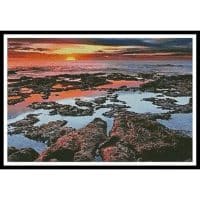 Artecy Cross Stitch Tidal Pools Sunrise 10756 Cross Stitch Chart Hard Copy
