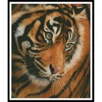 Artecy Cross Stitch Tiger Face Portrait 12241 MGL Cross Stitch Chart Hard Copy
