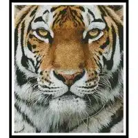 Artecy Cross Stitch Tiger Portrait 11432 Cross Stitch Chart Hard Copy