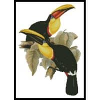 Artecy Cross Stitch Toucans 10008 Cross Stitch Chart Hard Copy