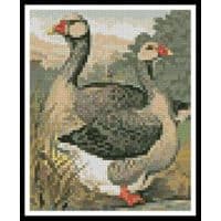 Artecy Cross Stitch Toulouse Geese Mini 12528 Cross Stitch Chart Hard Copy