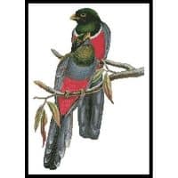 Artecy Cross Stitch Trogons 10568 Cross Stitch Chart Hard Copy