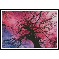 Artecy Cross Stitch Twilight Tree 14168 Cross Stitch Chart Hard Copy