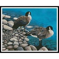 Artecy Cross Stitch Two Canadian Geese 10719 MB Cross Stitch Chart Hard Copy