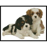 Artecy Cross Stitch Two Spaniel Pups 10506 MGL Cross Stitch Chart Hard Copy