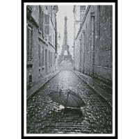 Artecy Cross Stitch Umbrella in Paris Black and White 13629 Cross Stitch Chart Hard Copy