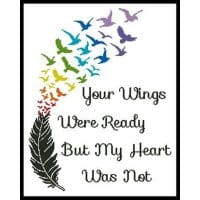 Artecy Cross Stitch Your Wings Rainbow 13488 Cross Stitch Chart Hard Copy