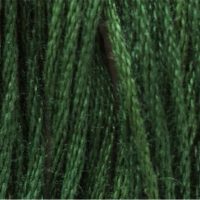Classic Colorworks 6 Stranded Cotton CCT-191 Grasshopper
