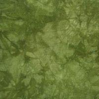 14 count Aida Hand Dyed Picture This Plus Moss 18x27 inches