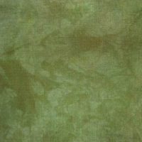 16 Count Aida Opalescent Hand Dyed Picture This Plus Swamp 18x27 inches