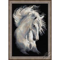 Riolis Andalusian Character GSRC1451 Cross Stitch Kit