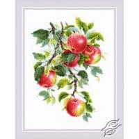 Riolis Juicy Apples GSRC1938 Cross Stitch Kit