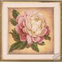 Riolis Peony GSRB0071 Cross Stitch Kit