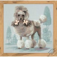 Riolis Poodle GSRC1635 Cross Stitch Kit