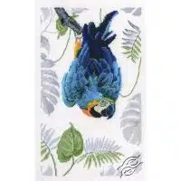 RTO Macaw GSVM745 Cross Stitch Kit