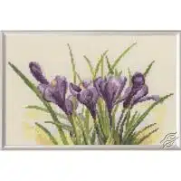 RTO Spring Crocuses GSVM584 Cross Stitch Kit
