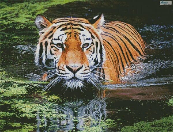 Tiger In Swamp #15118 (Artecy)